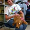Volunteer Diane in Post Op 